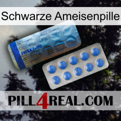Black Ant Pill 40